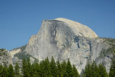 DSC_2383 (Large).JPG